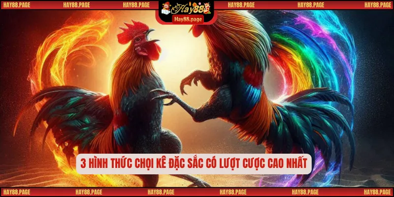 3 hình thức chọi kê đặc sắc có lượt cược cao nhất