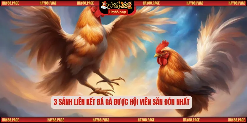 3 sảnh liên kết đá gà được hội viên săn đón nhất