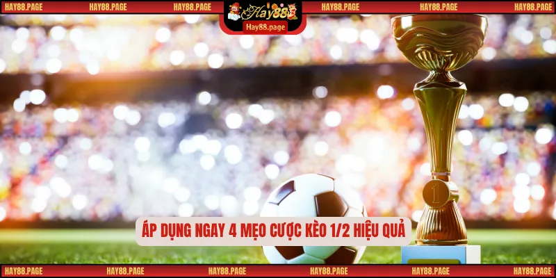 Kèo 1/2 Là Gì? Cách Hiểu Đúng Và Áp Dụng Hiệu Quả Cá Cược 3 Áp dụng ngay 4 mẹo cược kèo 1/2 hiệu quả