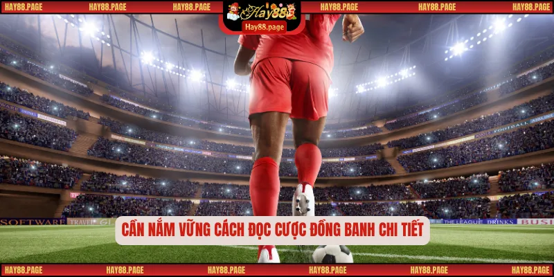 Kèo Đồng Banh Là Gì? Cách Đọc Và Chiến Thuật Cược Hiệu Quả 2 Cần nắm vững cách đọc cược đồng banh chi tiết