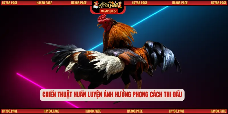 Đá Gà Chọi HAY88 – Sân Chơi Của Những Chiến Kê Bất Khuất 3 Chiến thuật huấn luyện ảnh hưởng phong cách thi đấu