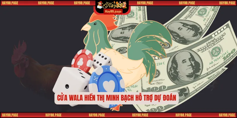 Cửa Wala hiển thị minh bạch hỗ trợ dự đoán