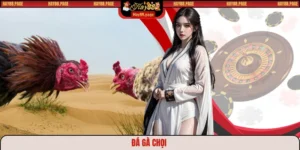 Đá gà chọi HAY88