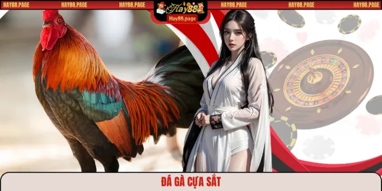 Đá gà cựa sắt
