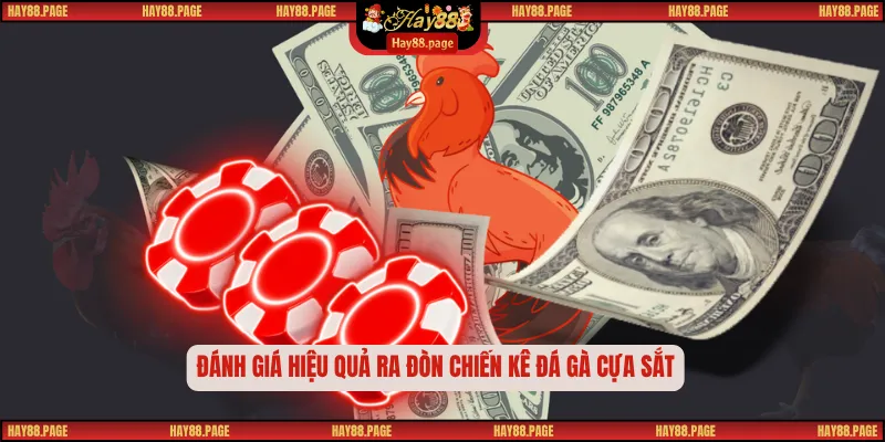 Đánh giá hiệu quả ra đòn chiến kê đá gà cựa sắt