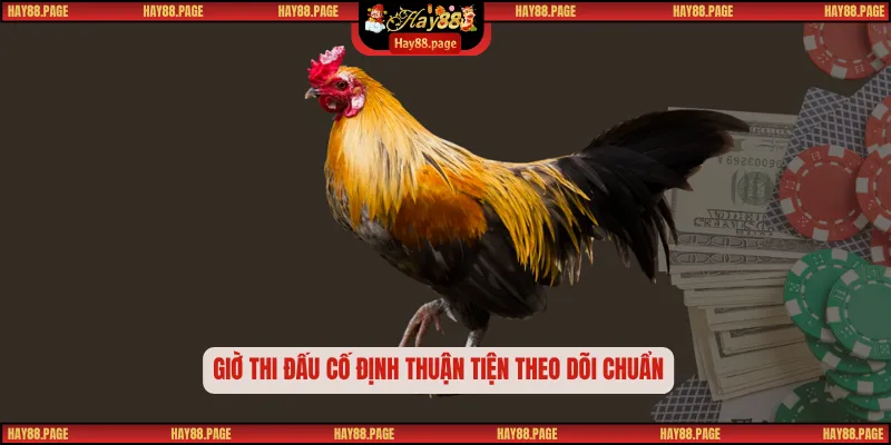 Trường Gà Savan – Điểm Hẹn Đá Gà Hấp Dẫn Sôi Động Công Bằng 1 Giờ thi đấu cố định thuận tiện theo dõi chuẩn