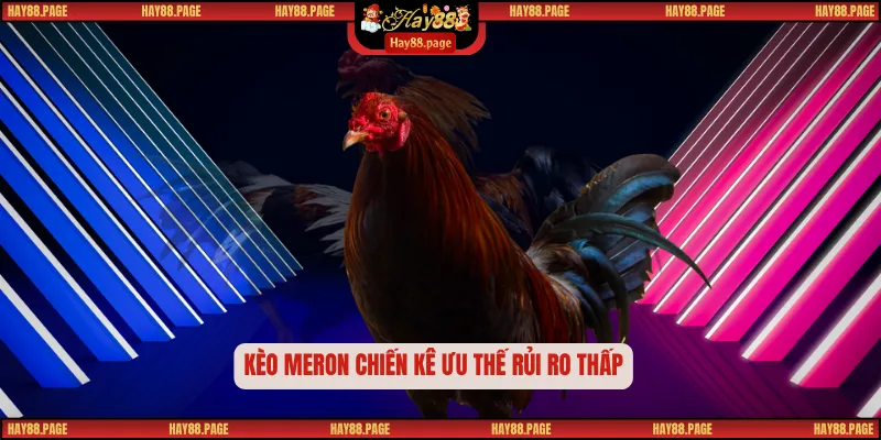 Đá Gà Chọi HAY88 – Sân Chơi Của Những Chiến Kê Bất Khuất 2 Kèo Meron chiến kê ưu thế rủi ro thấp