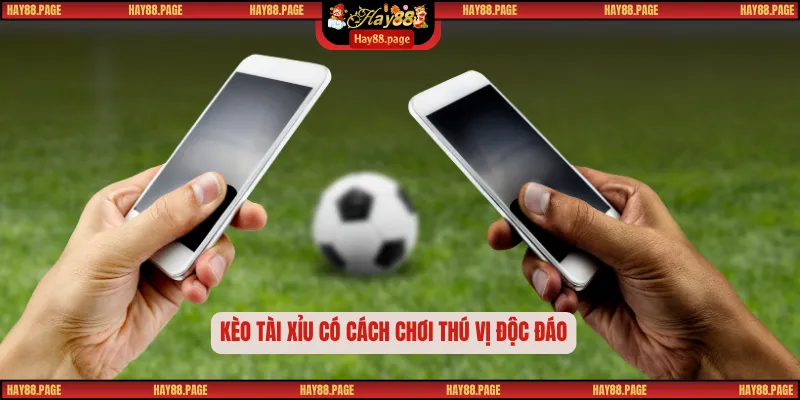 Kèo Tài Xỉu – Cách Chơi, Cách Đọc Và Bí Quyết Thắng Lớn 1 Kèo tài xỉu có cách chơi thú vị độc đáo