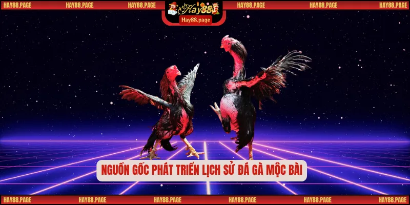 Đá Gà mộc bài – Điểm Hẹn Đỉnh Cao Của Những Chiến Kê 1 Nguồn gốc phát triển lịch sử đá gà mộc bài