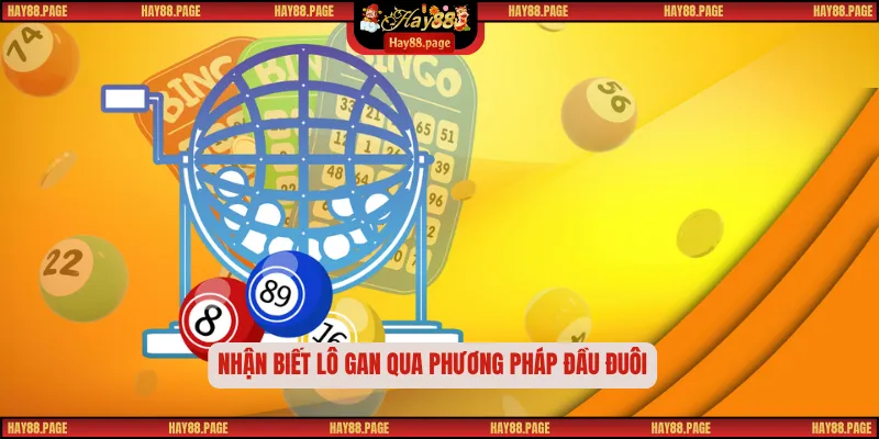 Nhận biết lô gan qua phương pháp đầu đuôi