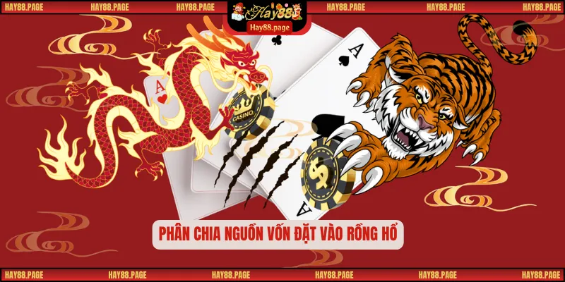Rồng Hổ Online - Sân Chơi Quyết Đấu Trong Một Lá Bài 3 Phân chia nguồn vốn đặt vào rồng hổ