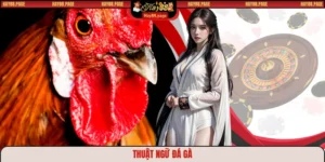 Thuật ngữ đá gà