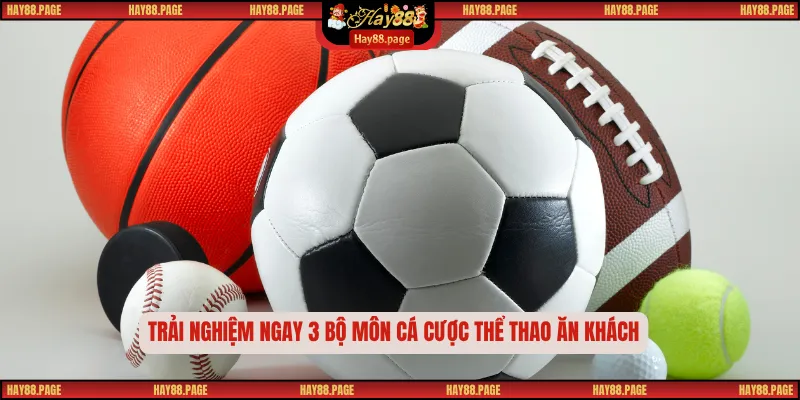 Trải nghiệm ngay 3 bộ môn cá cược thể thao ăn khách